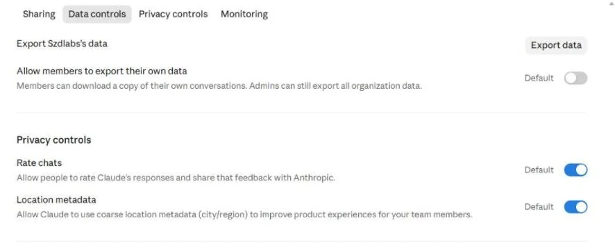 Team admin data controls: export organization data, allow members to export their own data, rate chats and location metadata.