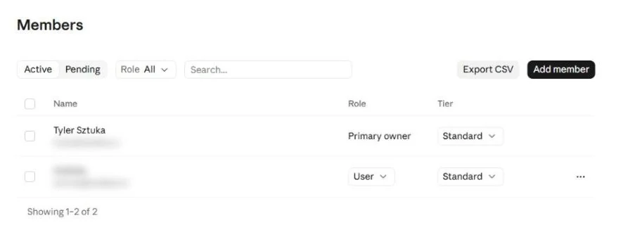 Team members list with name, role and tier columns; member names and emails are blurred.